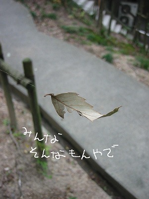 どうするオレ_d0165772_18475262.jpg