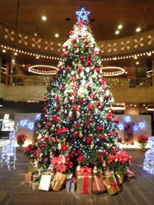 c0100275_113857.jpg