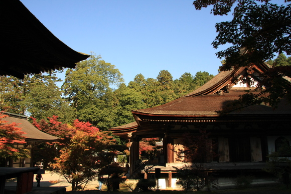 湖東三山 西明寺_c0196076_23181956.jpg