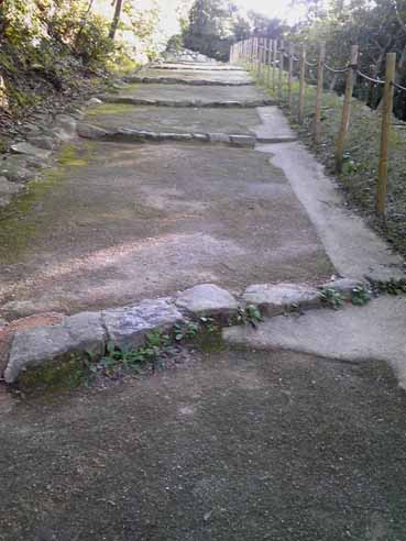 e0126576_1721161.jpg