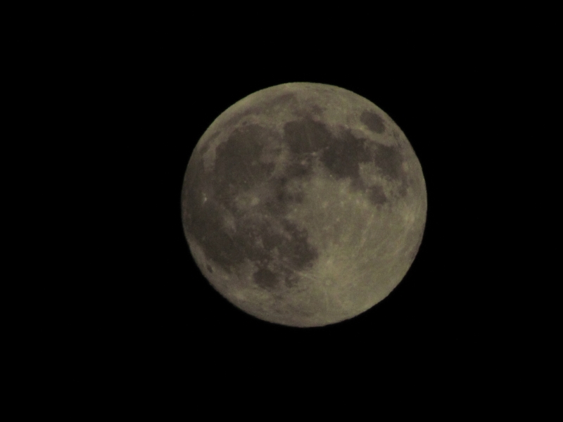 c0183777_1750892.jpg
