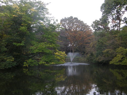 e0232277_1431257.jpg
