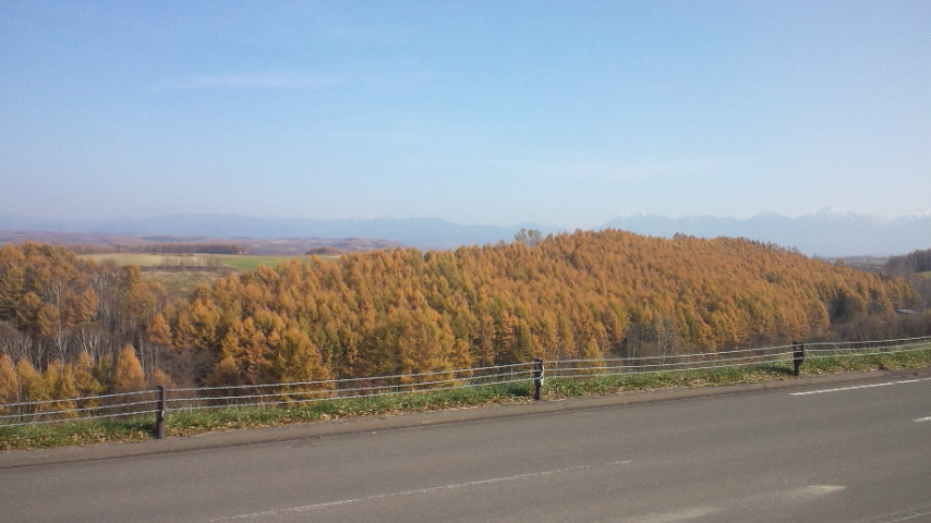 e0224584_3235694.jpg