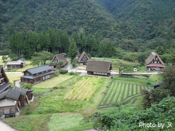 2011年9月東海北陸くるま旅その6_早朝の五箇山散策_b0033186_9594960.jpg