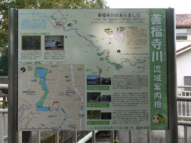 火曜ウォークで杉並区と練馬区を歩いてきました(^^♪ その1 杉並区_b0175688_16263353.jpg