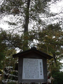 火曜ウォークで杉並区と練馬区を歩いてきました(^^♪ その1 杉並区_b0175688_1921063.jpg