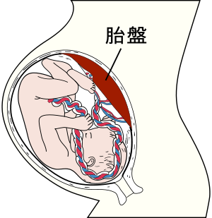 b0140293_12201229.png