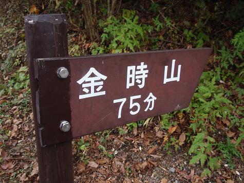 f0179593_19262661.jpg