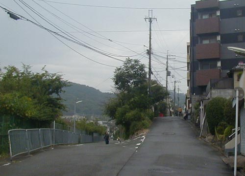 ●雨の日から雨の日へ_d0053294_103567.jpg