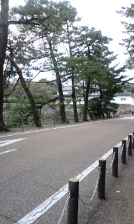 b0188695_1635485.jpg
