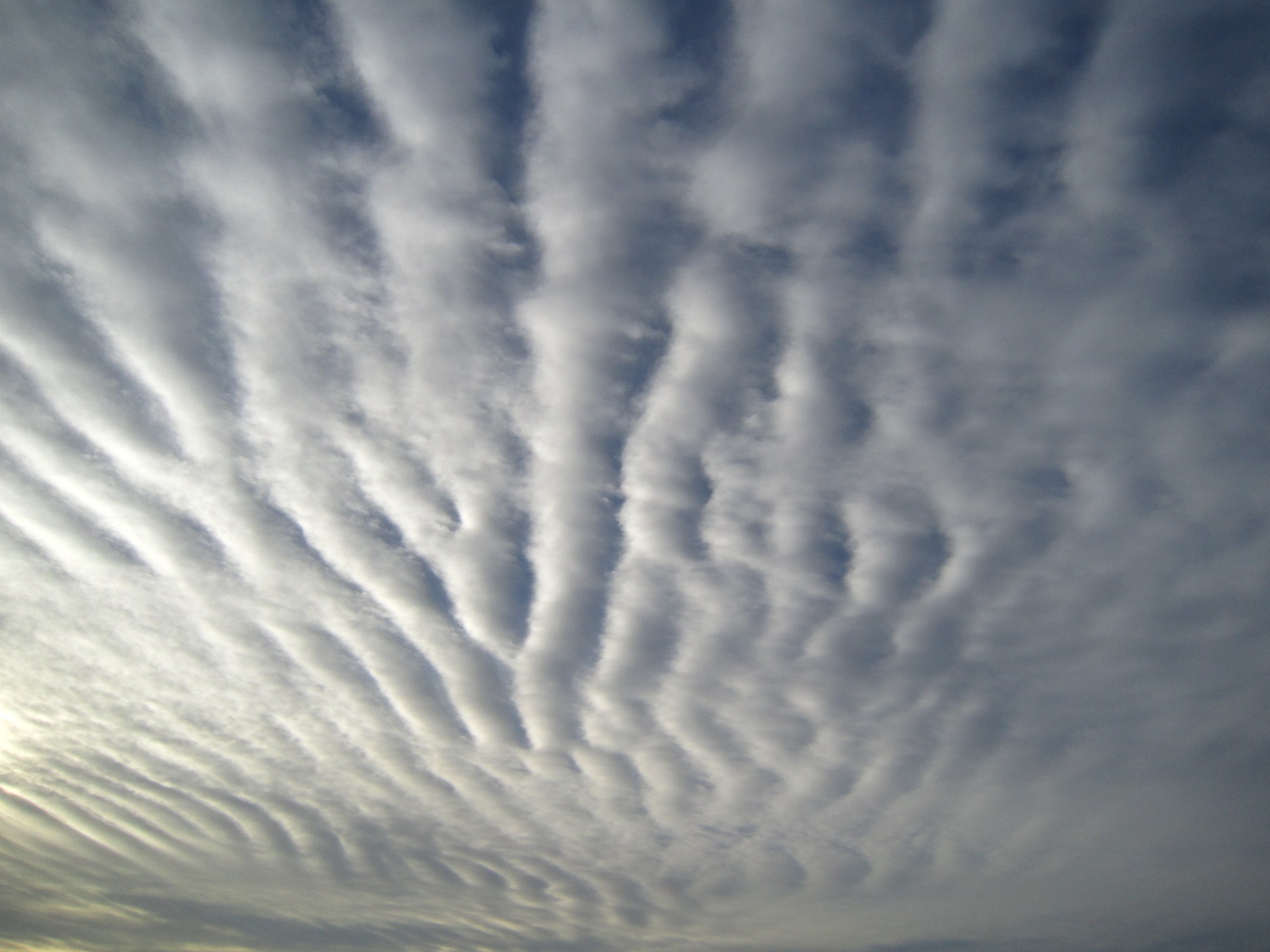 今日の空_f0204295_17234996.jpg