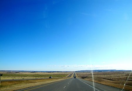 b0051109_5305620.jpg
