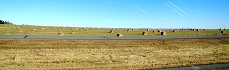 b0051109_5335175.jpg