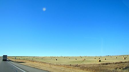 b0051109_5371133.jpg