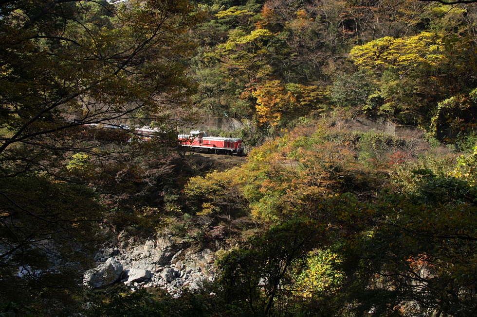 紅葉と赤い機関車 - 2011年秋・わたらせ -_b0190710_2228125.jpg