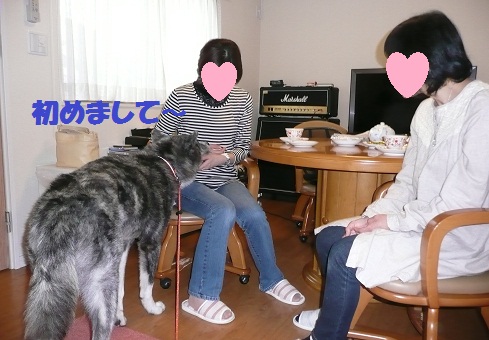 初めてのお客さま♪_f0121712_16164917.jpg