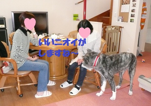 初めてのお客さま♪_f0121712_16165765.jpg
