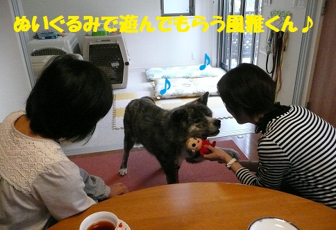初めてのお客さま♪_f0121712_1621062.jpg