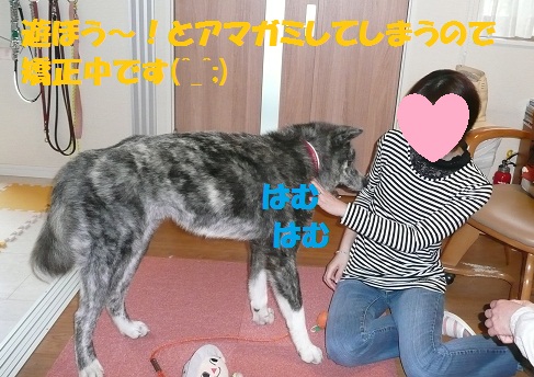 初めてのお客さま♪_f0121712_1625869.jpg
