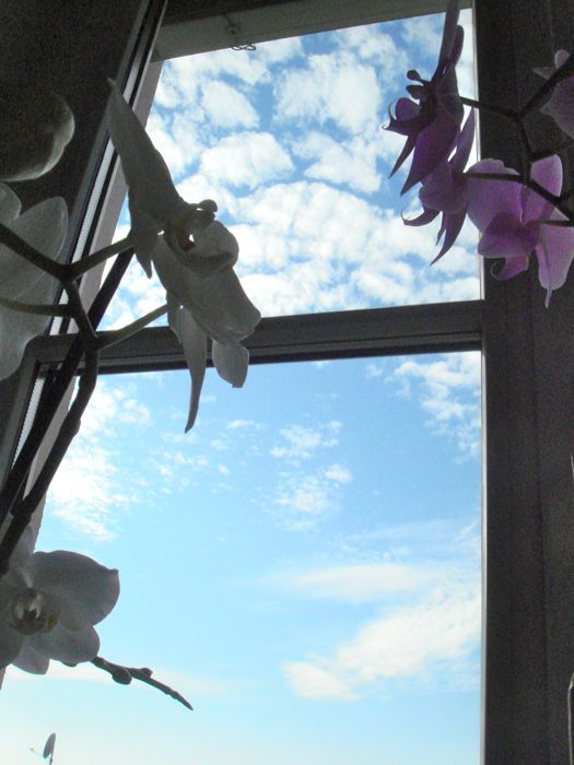 c0167813_771792.jpg