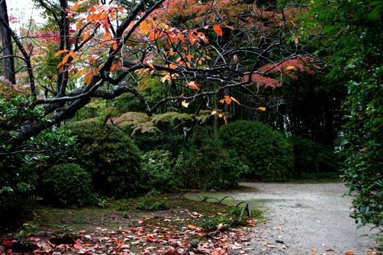 紅葉始まる 瀧口寺 _e0048413_16213758.jpg