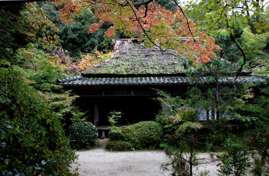 紅葉始まる 瀧口寺 _e0048413_1621482.jpg