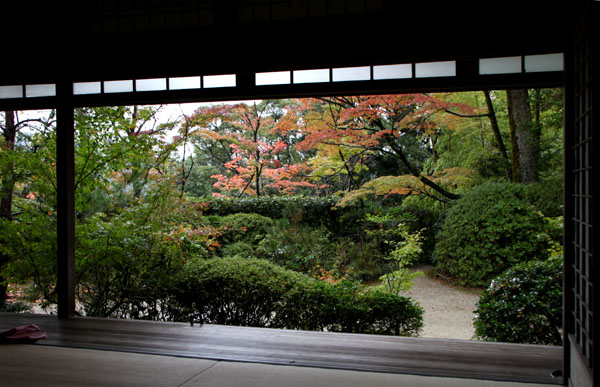 紅葉始まる 瀧口寺 _e0048413_1622149.jpg