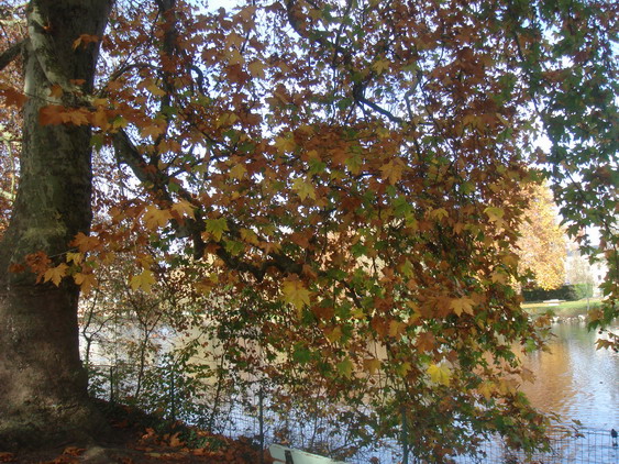 c0124619_5533265.jpg