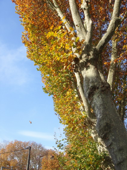 c0124619_553572.jpg