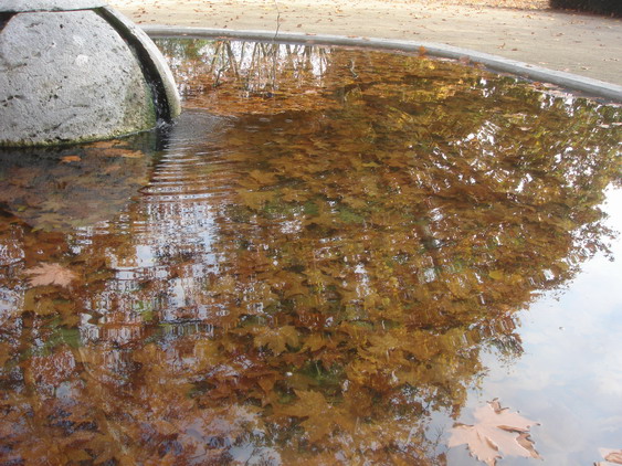 c0124619_554914.jpg