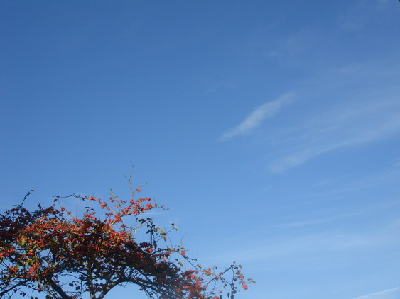 c0124619_5582592.jpg