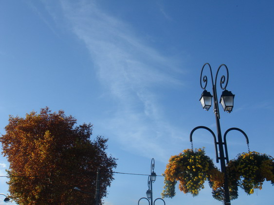 c0124619_5584622.jpg