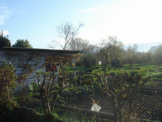 c0124619_6502410.jpg