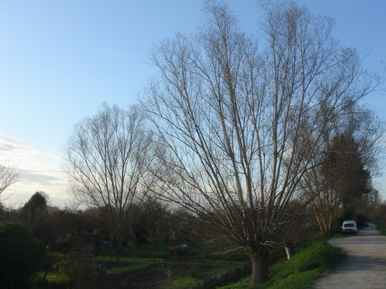 c0124619_6564985.jpg