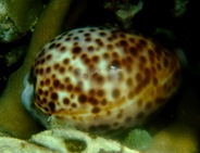 a0043520_7211951.jpg