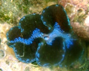a0043520_7213123.jpg