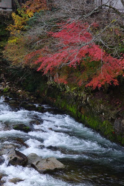 奥津渓の紅葉　part1_f0060722_22144073.jpg