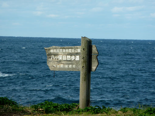 越前散歩道・・Ⅱ。。♪_b0023728_13423463.jpg