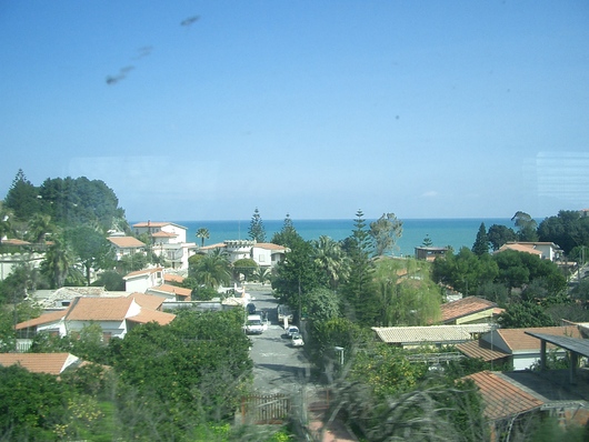 d0178432_039202.jpg
