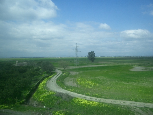d0178432_0394299.jpg