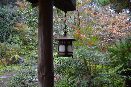 梅や　手打ちうどん　2011年秋_e0228938_2012547.jpg