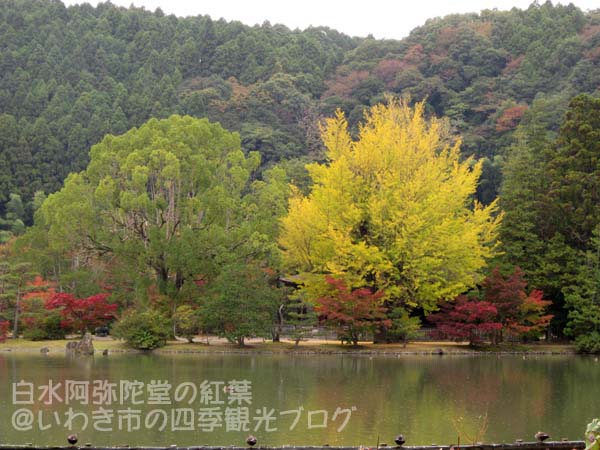 11月11日　国宝・白水阿弥陀堂の紅葉_f0105342_14252222.jpg