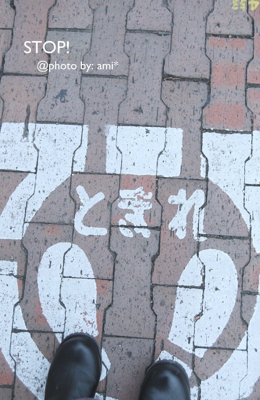 c0218146_194927.jpg