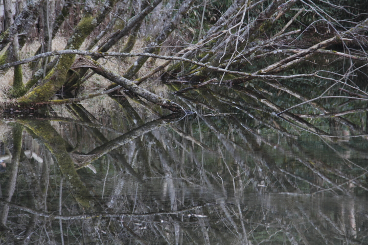 c0202860_15511563.jpg