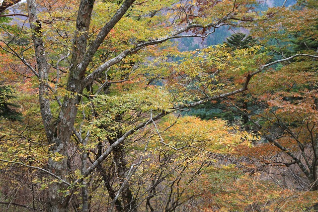 雲早トンネルから南下、国道193号線沿いの紅葉と滝_a0148866_11284285.jpg