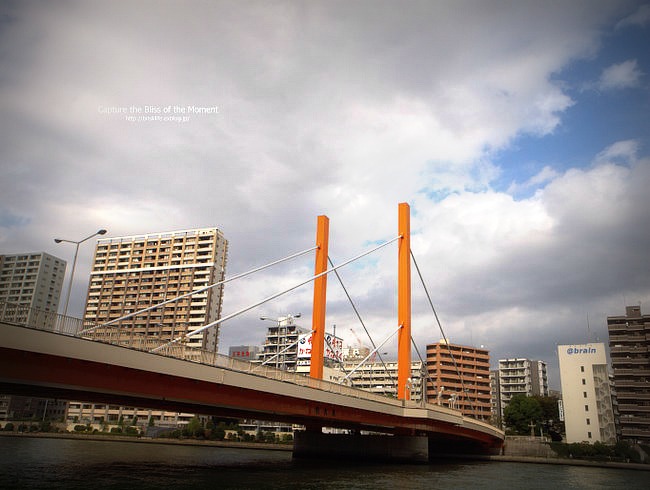 隅田川テラス　新大橋～柳橋_e0248566_23481332.jpg