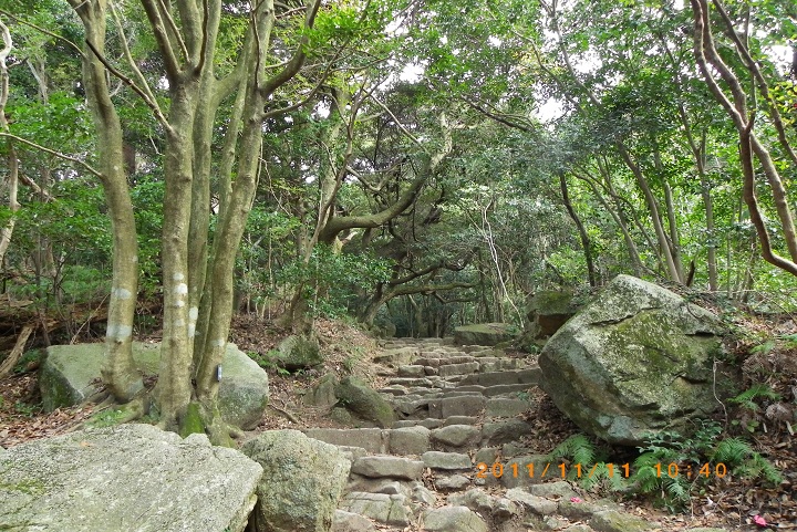 晩秋の宝満山と三郡縦走路。_f0016066_18463170.jpg