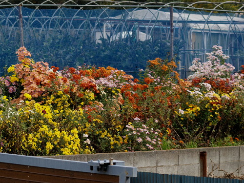 f0208666_110854.jpg