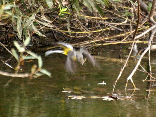 f0208666_11255178.jpg