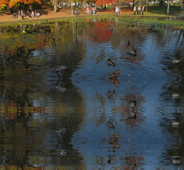 c0183777_9403023.gif